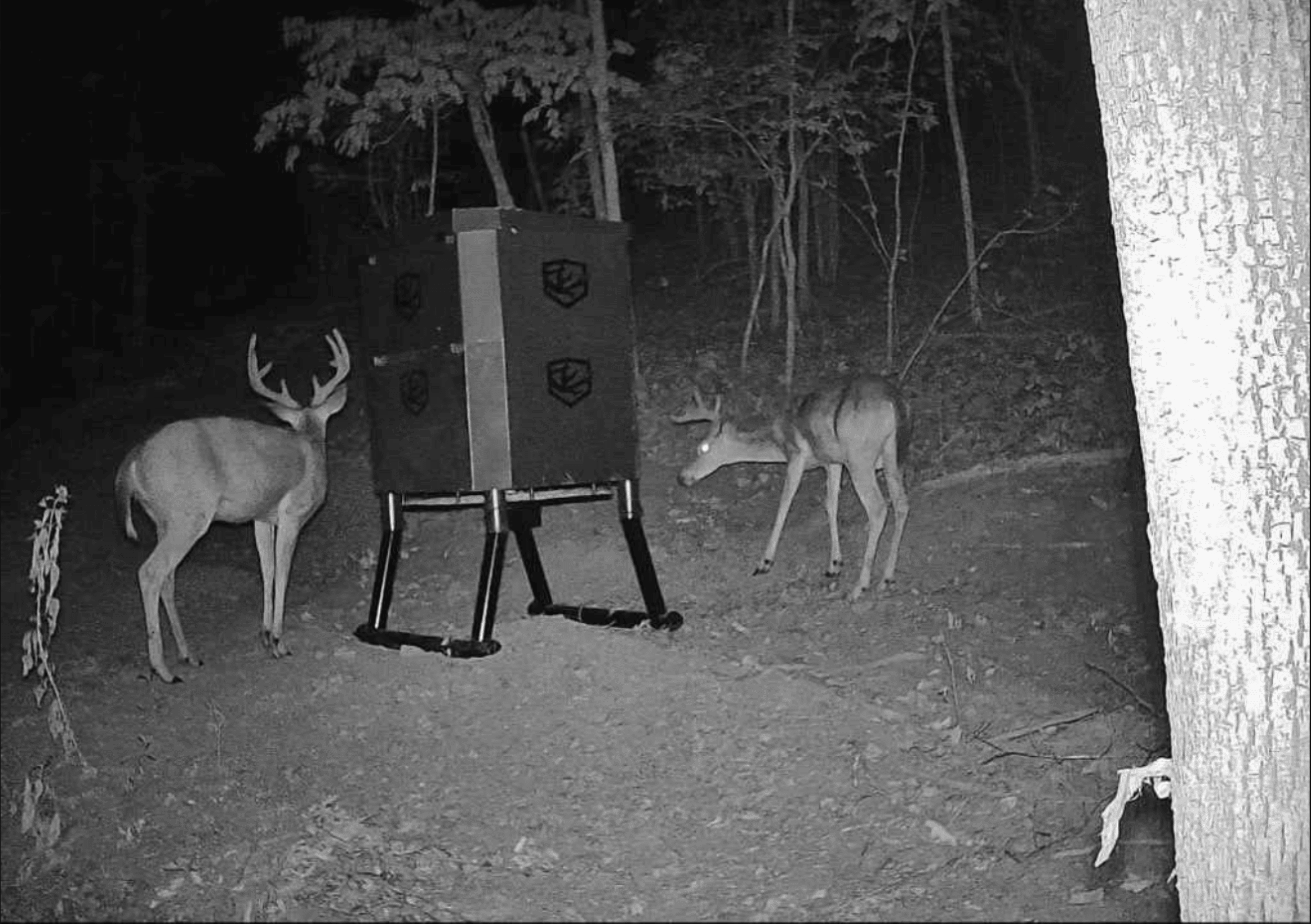 ARKANSAS HOME AND HUNTING LAND FOR SALE IN NORTH CENTRAL ARKANSAS